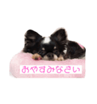 わんわんですの（個別スタンプ：1）