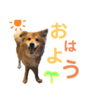 サンくん2019.7（個別スタンプ：7）