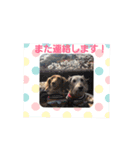 イヴ＆ノアちゃんスタンプ①（個別スタンプ：3）