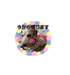 イヴ＆ノアちゃんスタンプ①（個別スタンプ：8）