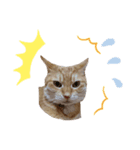 ニャンズ4nyan（個別スタンプ：3）