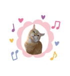 ニャンズ4nyan（個別スタンプ：4）
