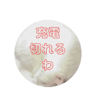 黒猫さんと白猫さん2【実写】（個別スタンプ：4）