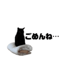 黒猫さんと白猫さん2【実写】（個別スタンプ：8）