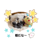 ちーぱぐ☆サクラ（個別スタンプ：2）
