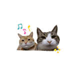 ニャンズ3nyan（個別スタンプ：5）