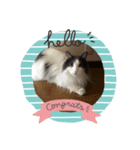 ねこねこねこじるたそ（個別スタンプ：1）