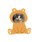 ねこねこねこじるたそ（個別スタンプ：5）