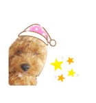 我が家のモコちゃんスタンプ（個別スタンプ：6）
