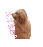 melonスタンプ2（個別スタンプ：3）