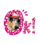 MyLovelyDog日常に使えるスタンプ♡（個別スタンプ：4）