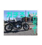 俺たちのバイク人生！（個別スタンプ：8）