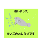 まなてぃさん（個別スタンプ：15）