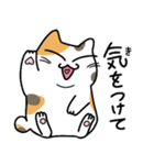 ねこれんらく（個別スタンプ：3）