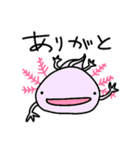 ねこれんらく（個別スタンプ：7）