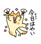 ねこれんらく（個別スタンプ：11）