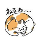 ねこれんらく（個別スタンプ：15）