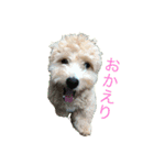 ラウレアちゃん（個別スタンプ：5）