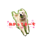 West  cuteラッキー♡（個別スタンプ：5）