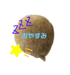 キンクマハムスターのいちごちゃん。3（個別スタンプ：3）
