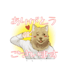 ハイネック【YouTuber】のスタンプ（個別スタンプ：3）