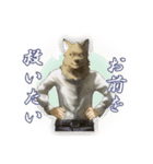 ハイネック【YouTuber】のスタンプ（個別スタンプ：6）