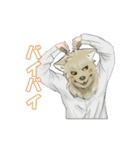 ハイネック【YouTuber】のスタンプ（個別スタンプ：12）