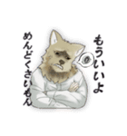 ハイネック【YouTuber】のスタンプ（個別スタンプ：13）
