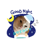 ねこちゃんのスタンプです。（個別スタンプ：5）