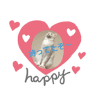 ねこちゃんのスタンプです。（個別スタンプ：6）