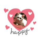 ねこちゃんのスタンプです。（個別スタンプ：8）