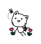 日本猫 ジャック（個別スタンプ：5）