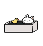 日本猫 ジャック（個別スタンプ：8）