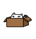 日本猫 ジャック（個別スタンプ：12）