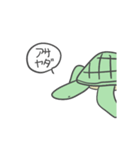 カタカメクン（個別スタンプ：6）