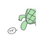 カタカメクン（個別スタンプ：12）