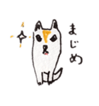 ふまじめ いぬねこ1（個別スタンプ：2）