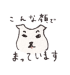 ふまじめ いぬねこ1（個別スタンプ：10）