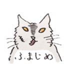 ふまじめ いぬねこ1（個別スタンプ：12）