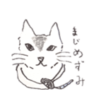 ふまじめ いぬねこ1（個別スタンプ：13）