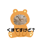 まめとこむぎ（個別スタンプ：4）