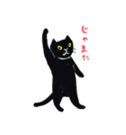 べちゃ猫 くろさん（個別スタンプ：11）