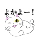 こん猫佐世保弁喋りよるばい（個別スタンプ：1）