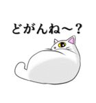 こん猫佐世保弁喋りよるばい（個別スタンプ：2）