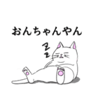 こん猫佐世保弁喋りよるばい（個別スタンプ：4）