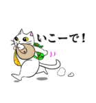 こん猫佐世保弁喋りよるばい（個別スタンプ：5）