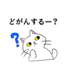 こん猫佐世保弁喋りよるばい（個別スタンプ：8）