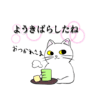 こん猫佐世保弁喋りよるばい（個別スタンプ：10）