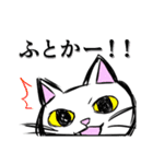 こん猫佐世保弁喋りよるばい（個別スタンプ：13）