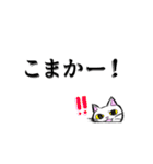 こん猫佐世保弁喋りよるばい（個別スタンプ：14）
